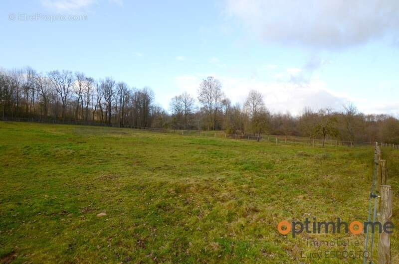  Rare à la vente – Propriété équestre en pierres  14 hectares de terrain - photo 28