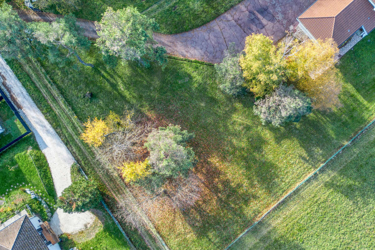 Terrain à BRIE-ET-ANGONNES