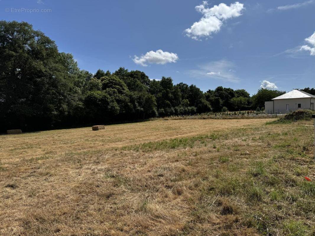 Terrain à CHATEAUBRIANT