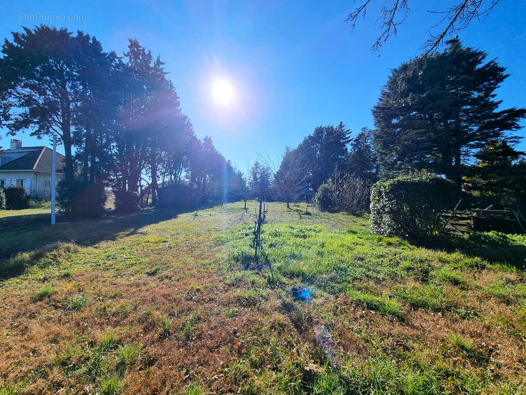 Terrain à CASTANET-TOLOSAN