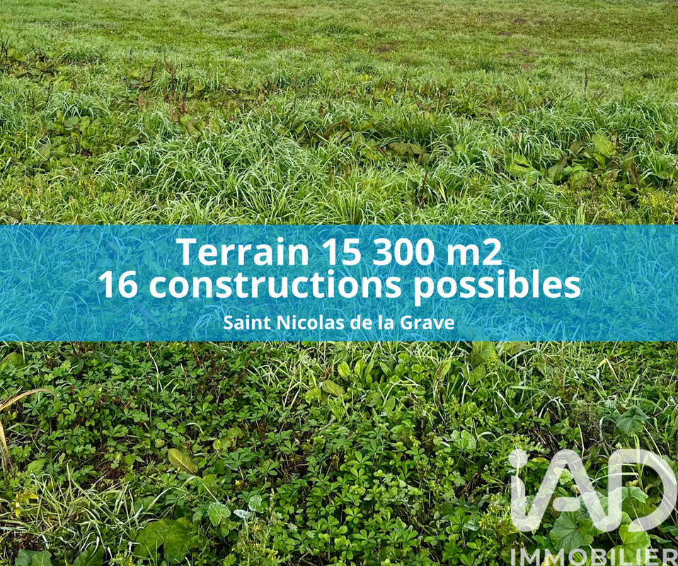 Photo 1 - Terrain à SAINT-NICOLAS-DE-LA-GRAVE