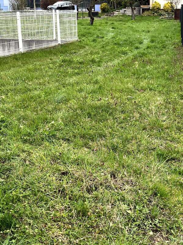 Photo 4 - Terrain à BLODELSHEIM