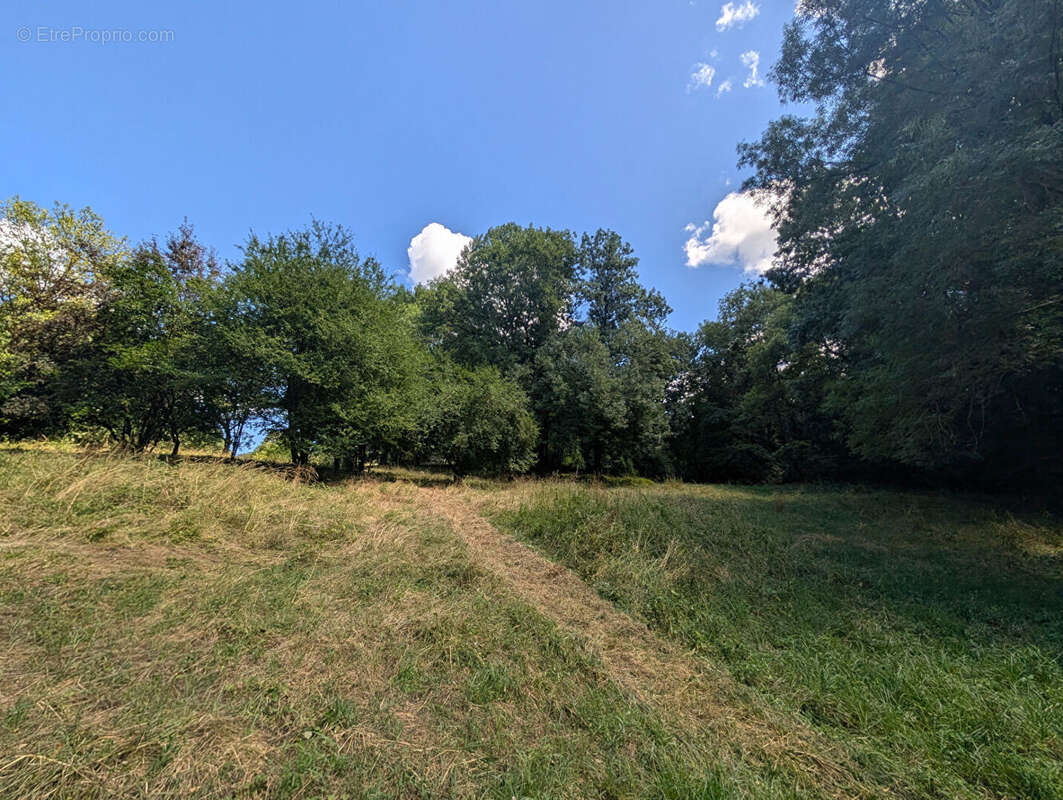 Terrain - Vienne  -16000 m2 - photo 9
