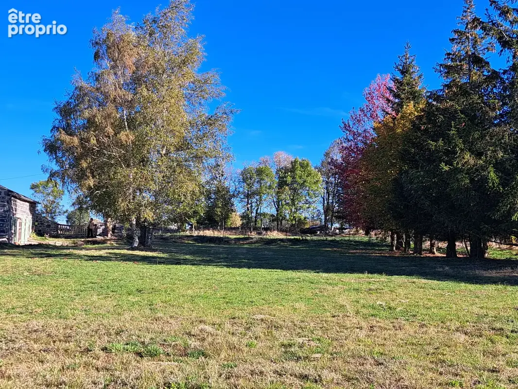 Ancienne petite chaumière au toit de lauzes sur 6000 m2 de terrain - photo 28