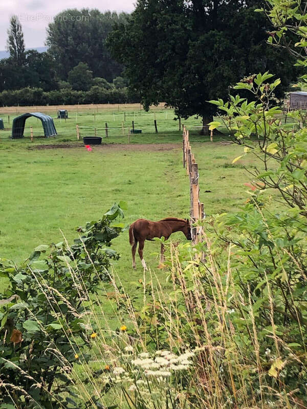 Maison à LE MELE-SUR-SARTHE