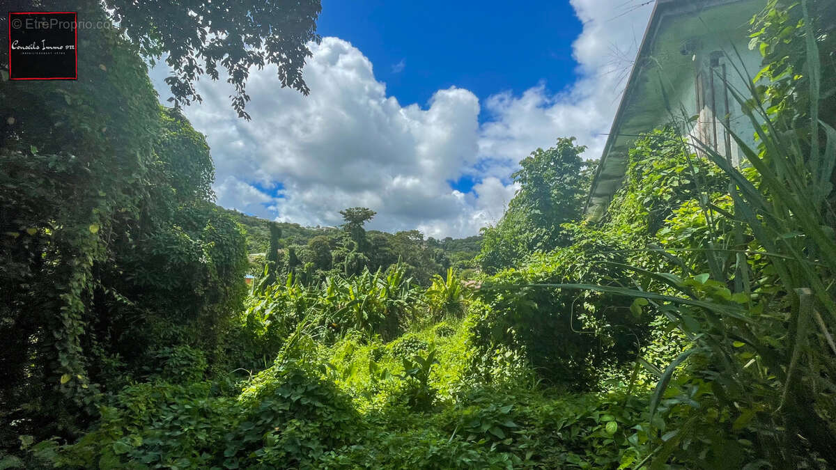 Terrain de 2 016 m2 en vente à Trinité - photo 8