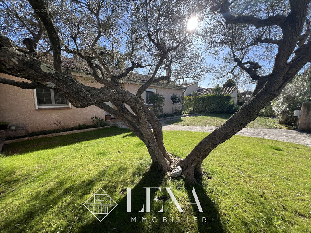 Maison à SAINT-GEORGES-D'ORQUES