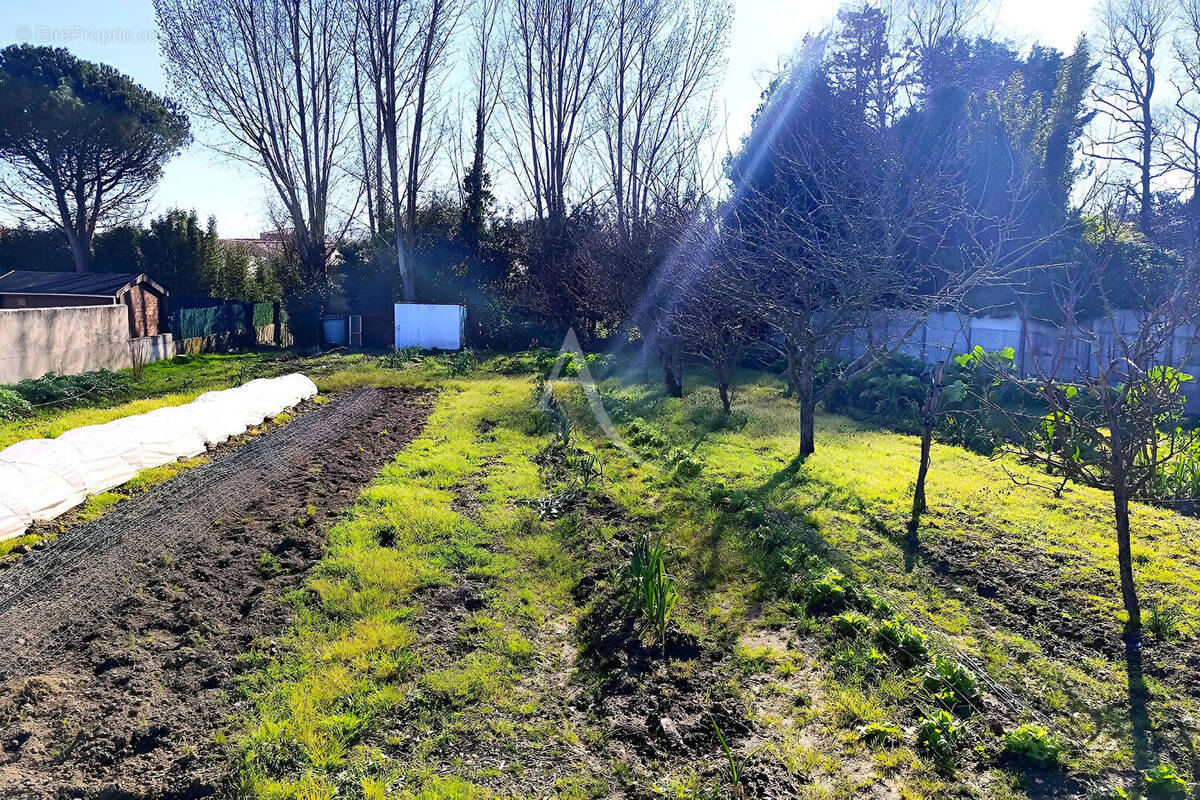 Terrain à LES SABLES-D'OLONNE
