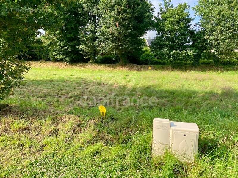 Terrain à LA TRINITE-SURZUR