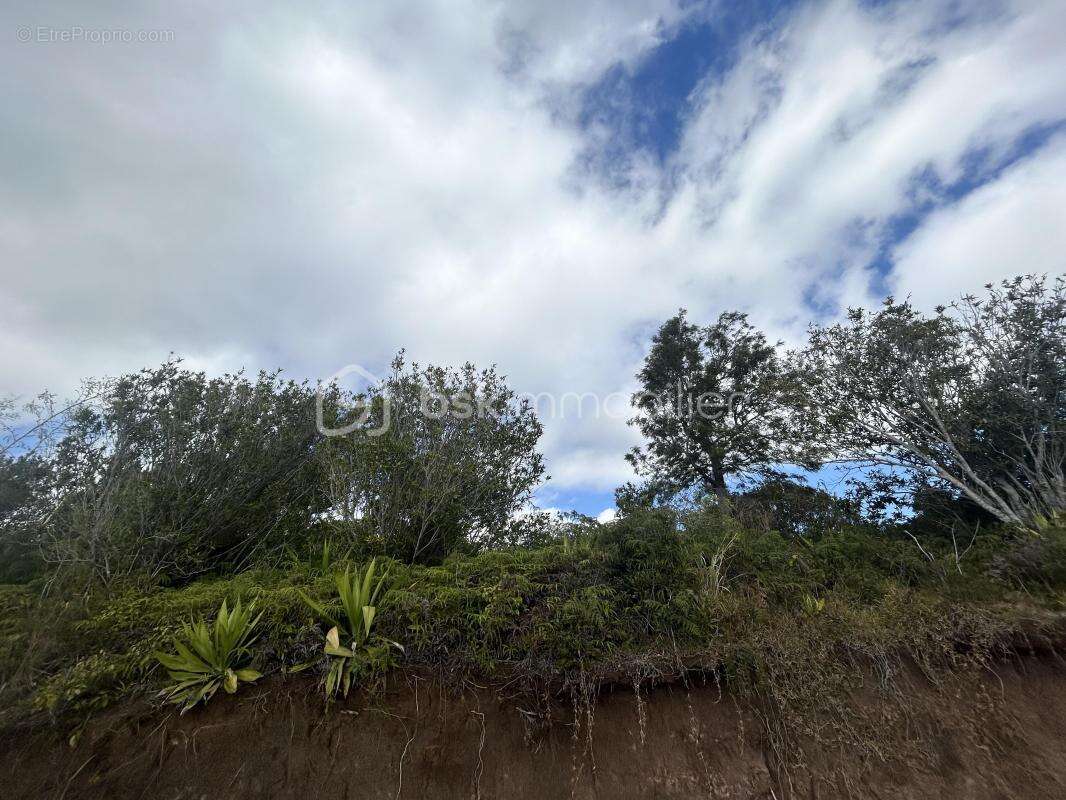 Parcelle de terrain constructible de 920 m2 - photo 6