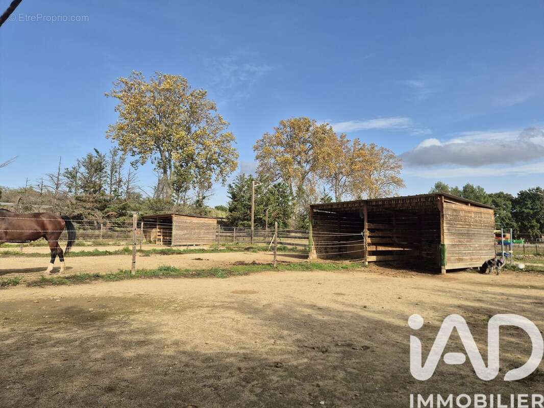 Photo 3 - Maison à SAINT-JEAN-PLA-DE-CORTS