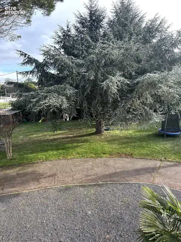 Maison 265m² à fenouillet - photo 8