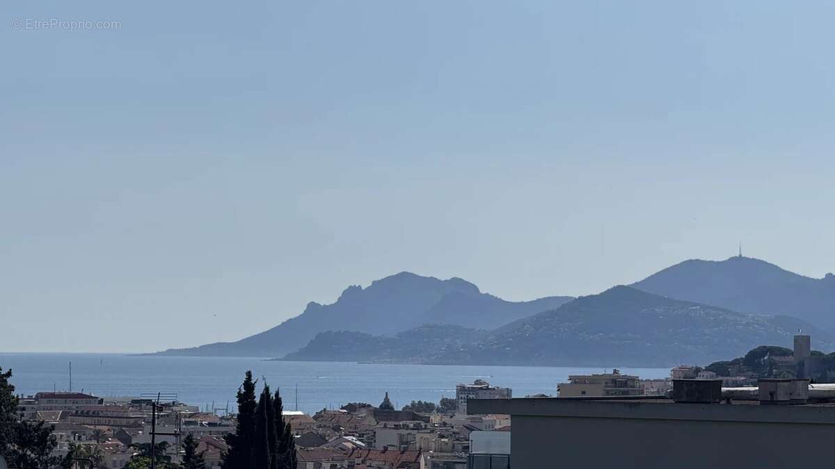 Dernier étage - Cannes - Vue mer - photo 3