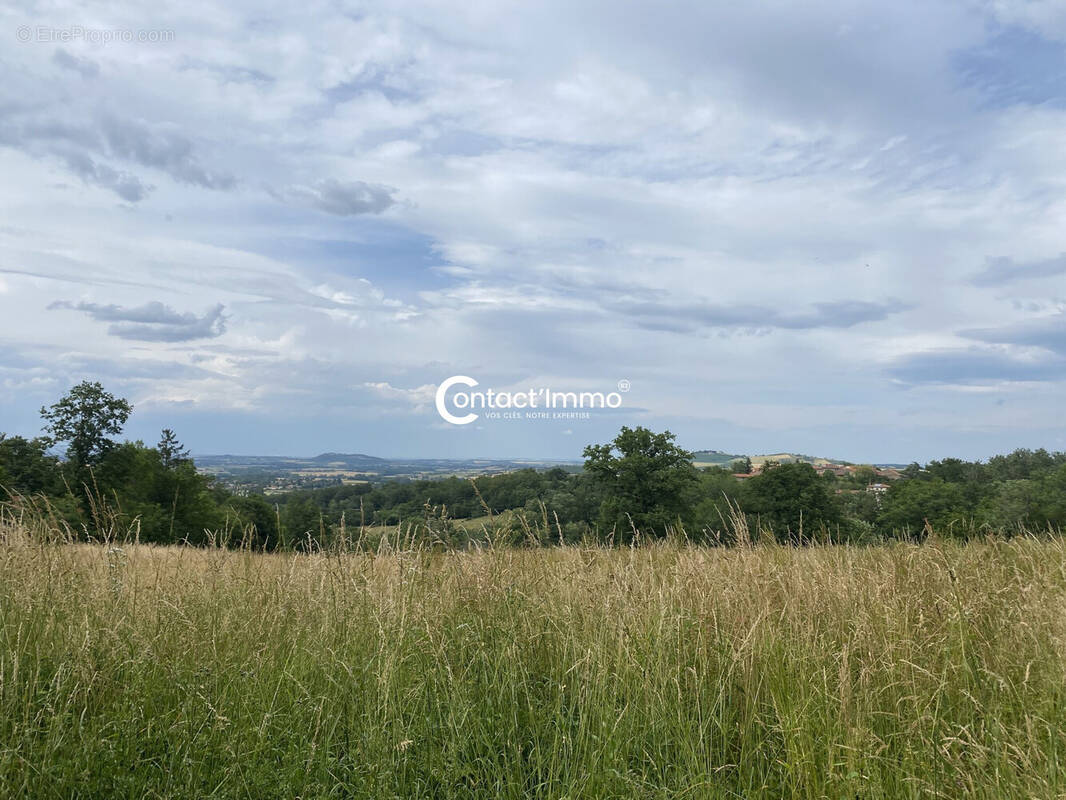 Agence Immobilière Contact Immo 63 Montmorin  - Terrain à MONTMORIN