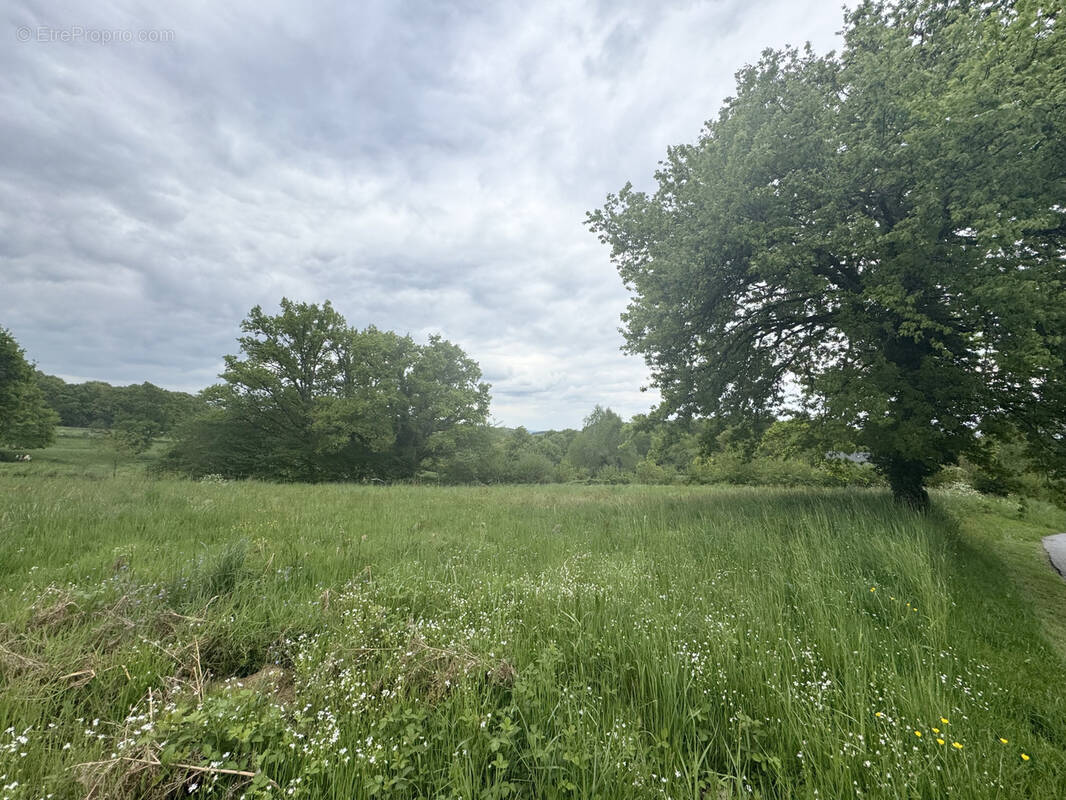 Terrain à LIGINIAC
