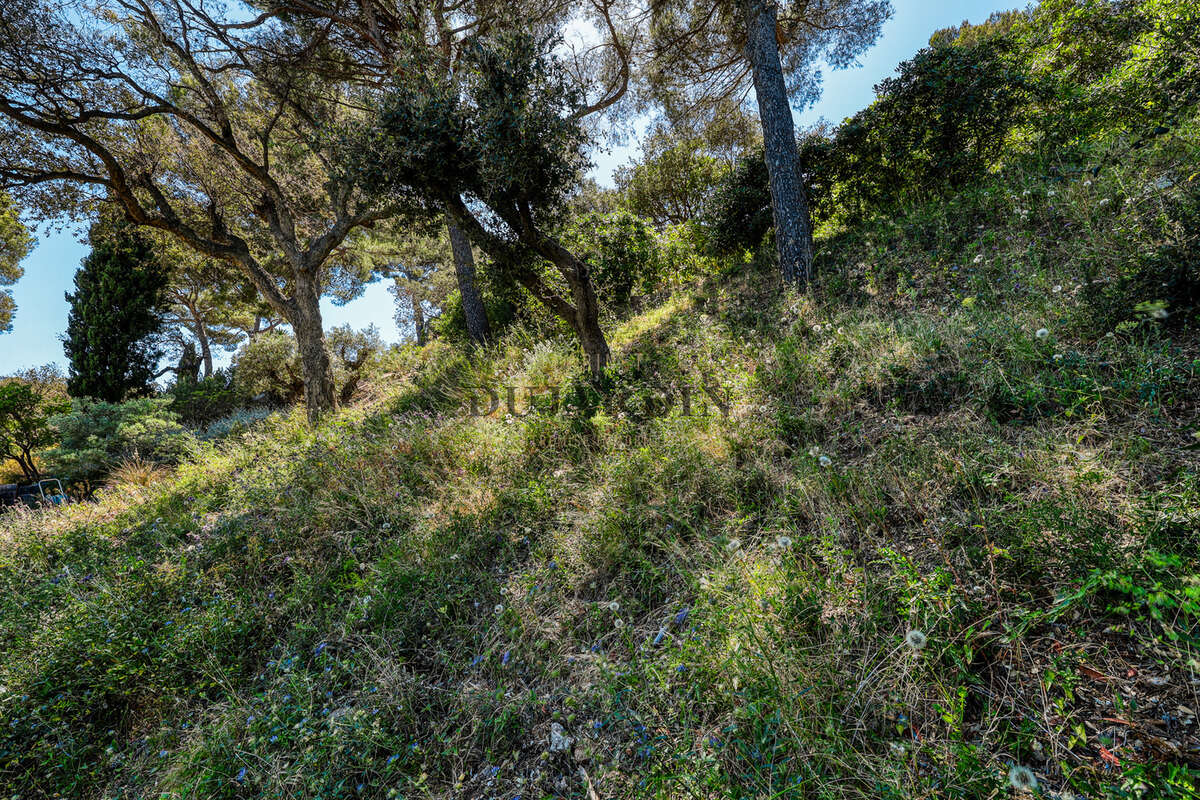 Terrain à BORMES-LES-MIMOSAS