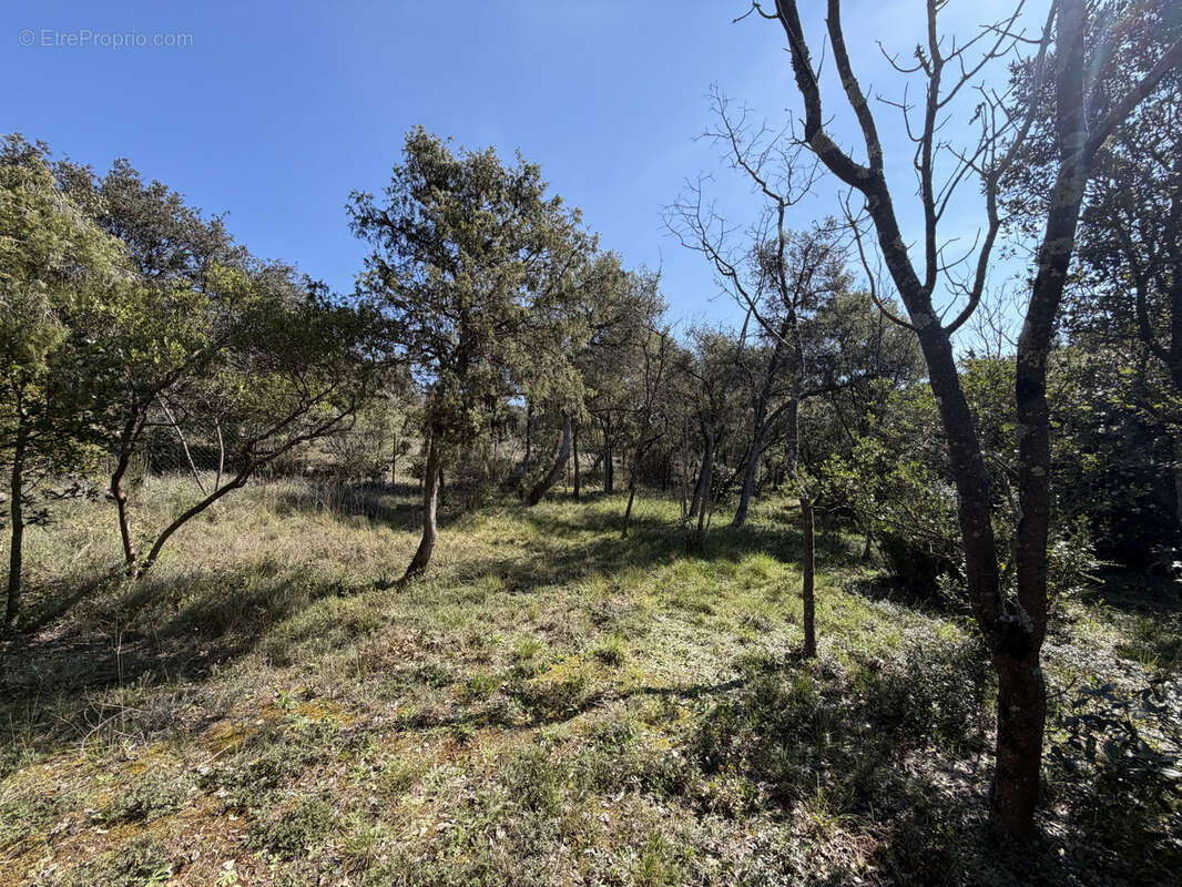 Maison à SAINT-MAXIMIN-LA-SAINTE-BAUME