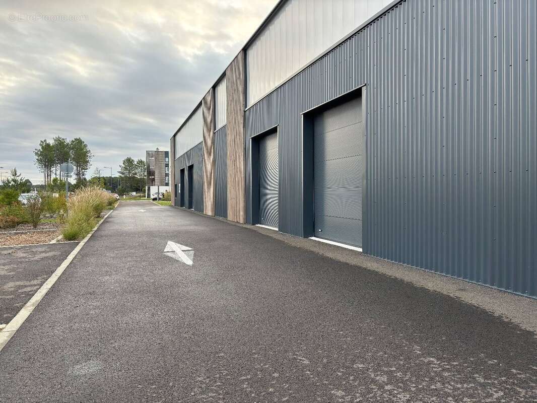 Commerce à SAINT-GEOURS-DE-MAREMNE