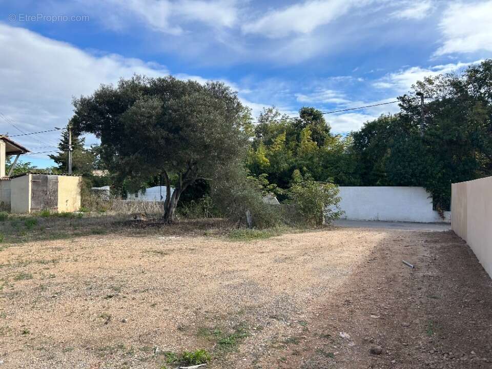 Terrain à MARSEILLAN