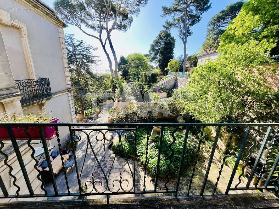 Somptueuse maison de maitre - photo 10