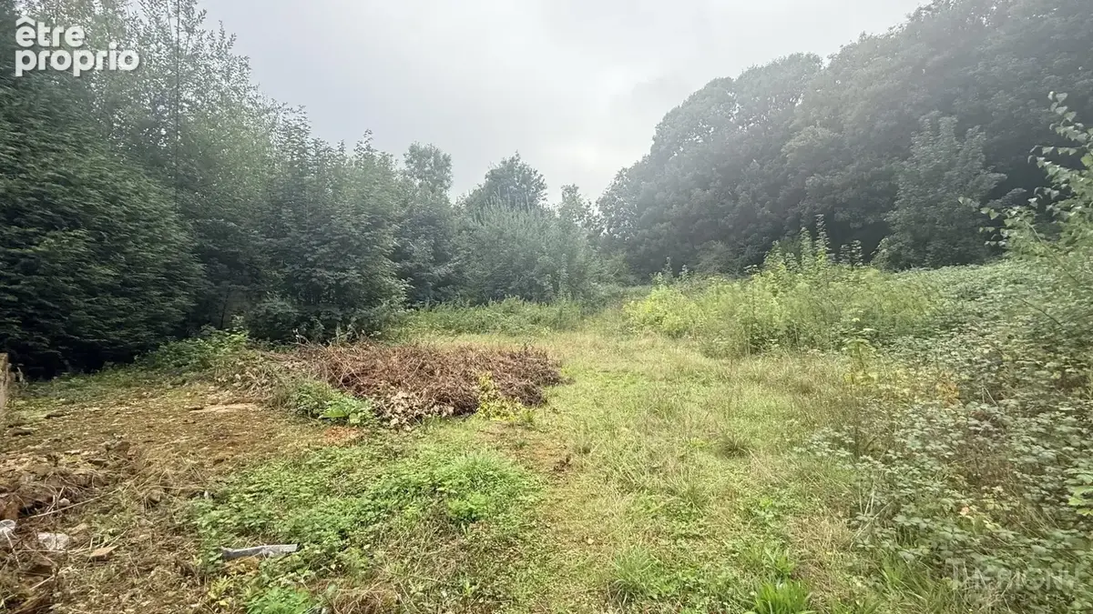 Terrain 2 022 m² à vendre à Friville-Escarbotin (80130) - photo 3