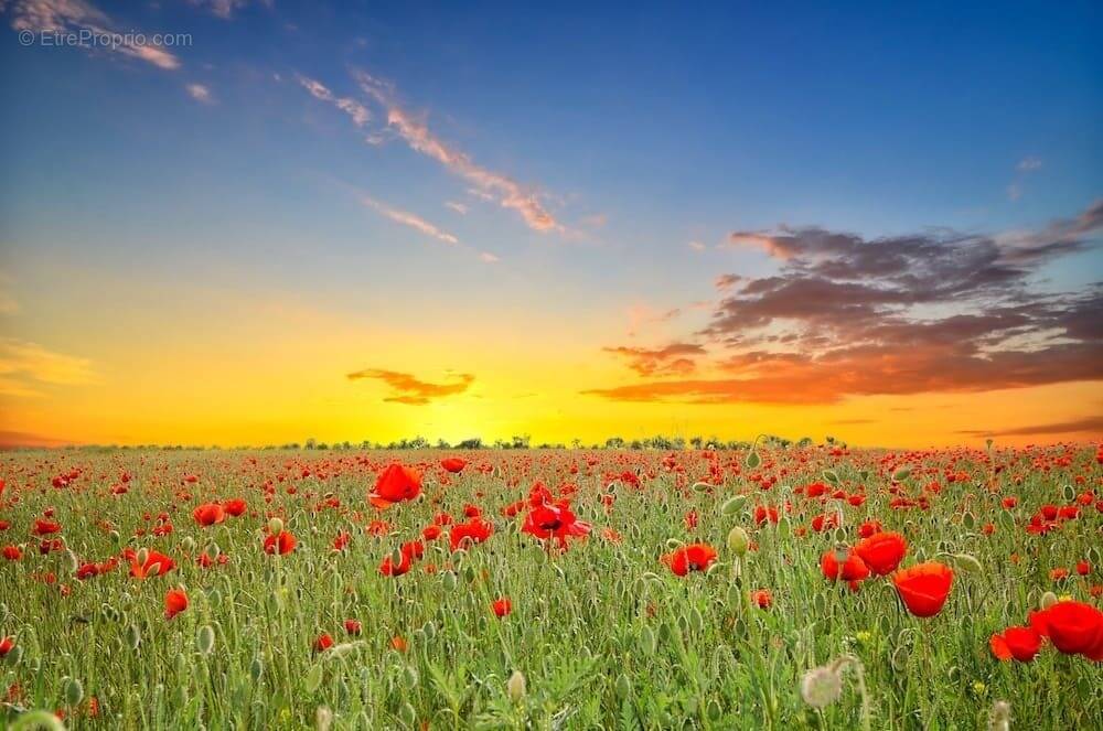 Terrain à SAINT-PIERRE-LE-MOUTIER