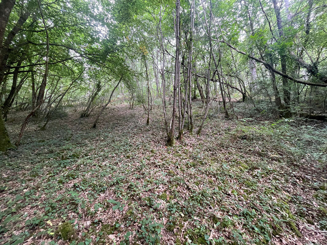 Terrain à PERIGUEUX