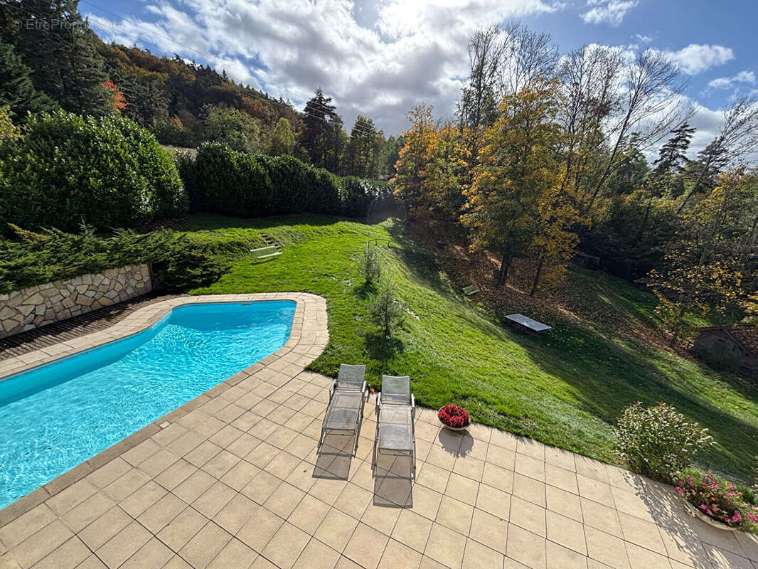 Photo 7 - Maison à SAINT-PAUL-EN-CORNILLON