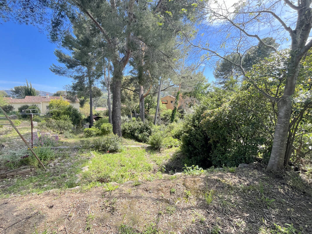 Terrain à LA CADIERE-D'AZUR