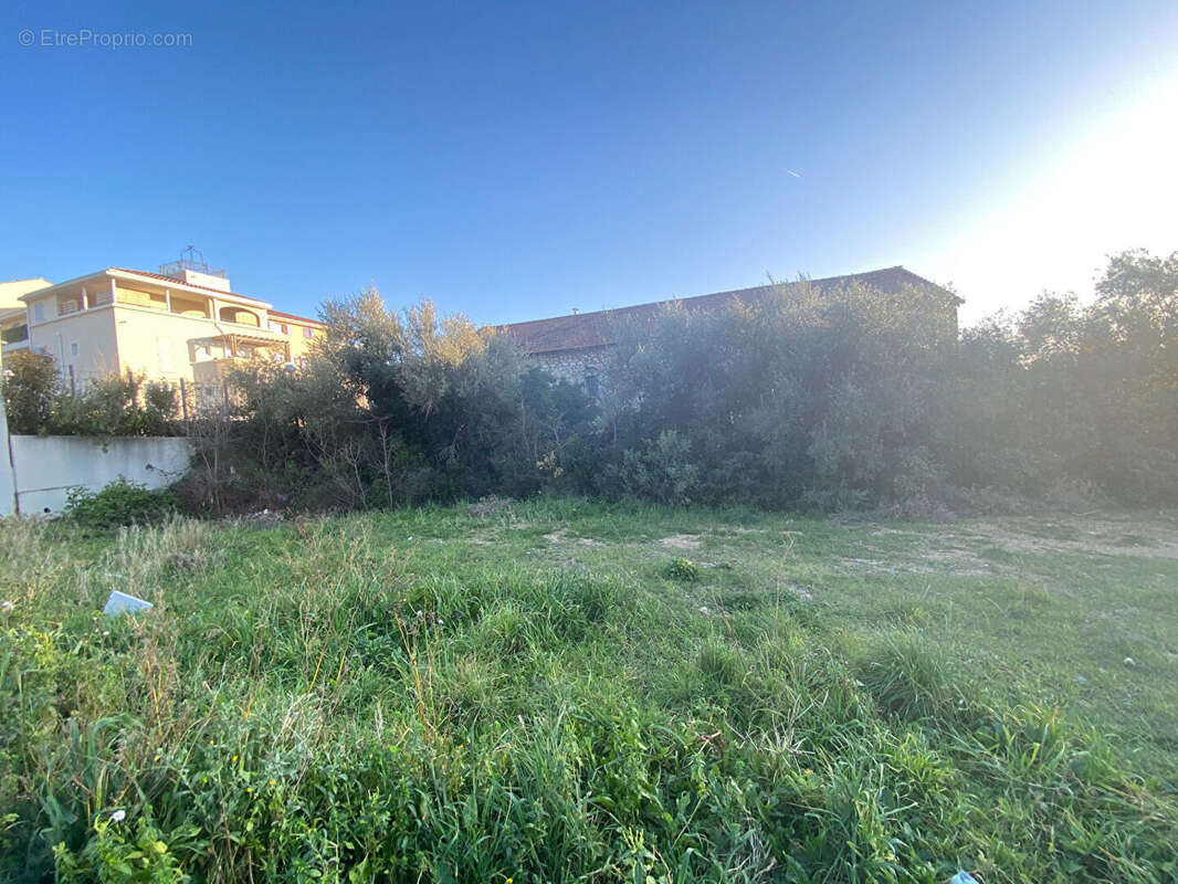 Terrain à PLAN-DE-CUQUES