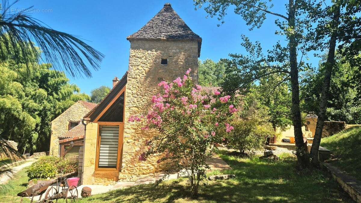 Maison 550 m² à Les Eyzies-De-Tayac-Sireuil  - photo 118