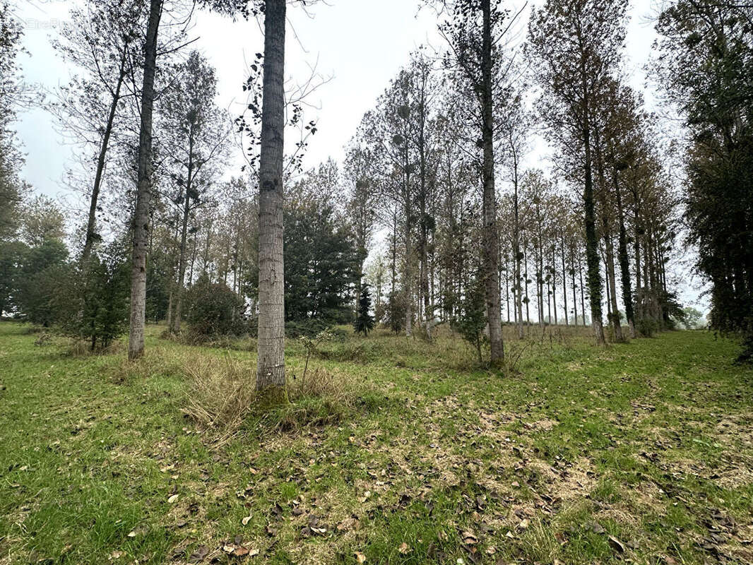 Terrain à LE FAVRIL