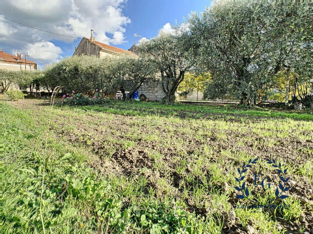 Terrain à CHEVAL-BLANC