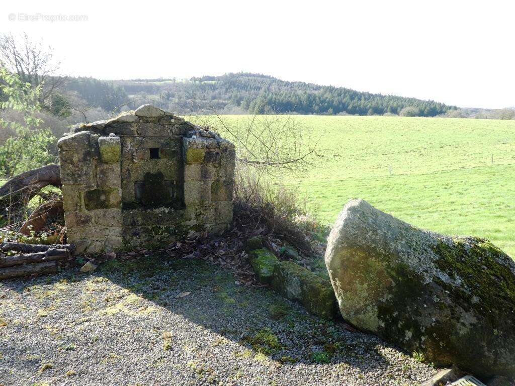 Propriété - photo 28