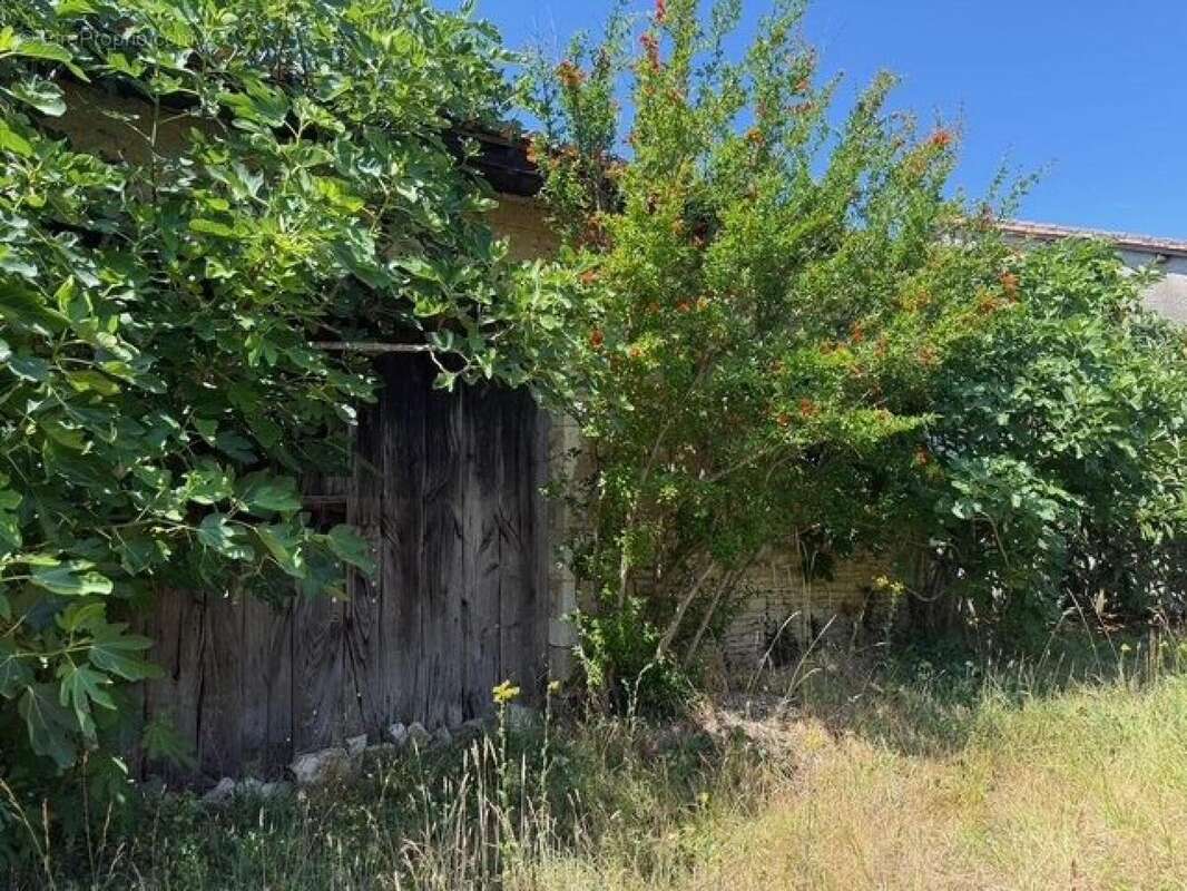 Photo 7 - Maison à AGRIS