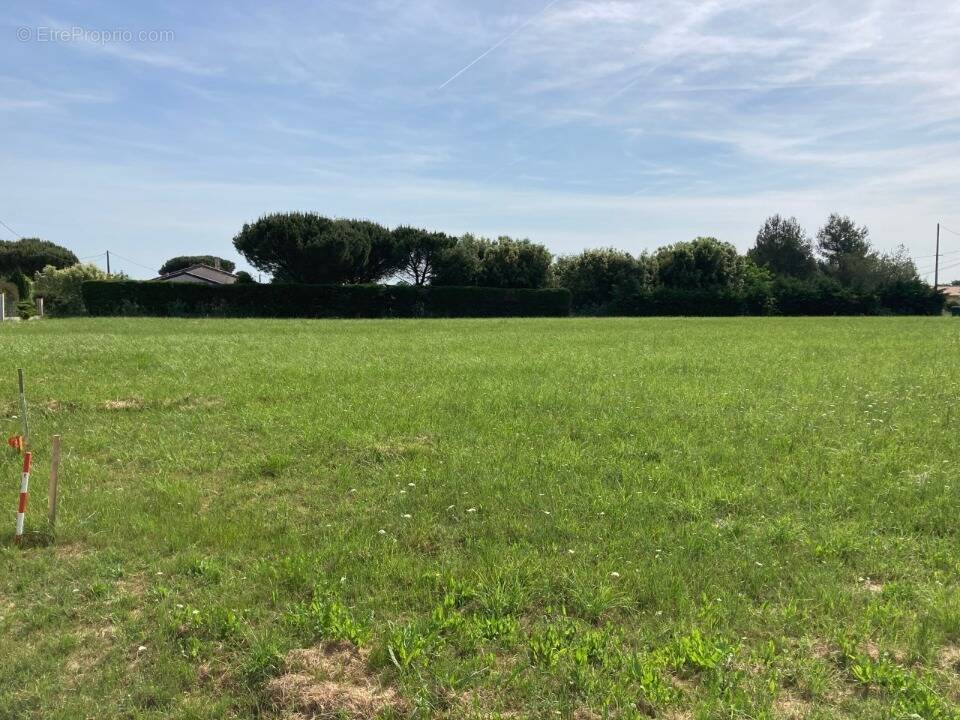 Terrain à LARRA