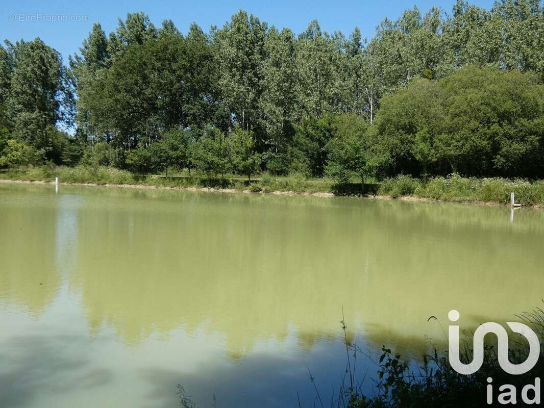 Photo 5 - Terrain à SAINT-SULPICE-DES-LANDES
