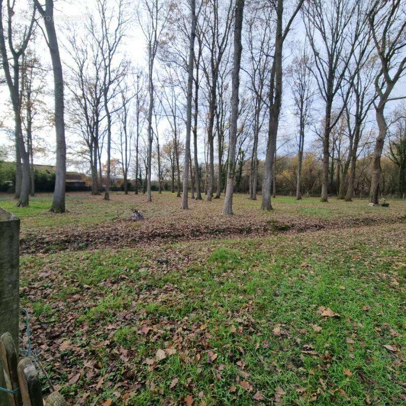 Maison à LES BORDES