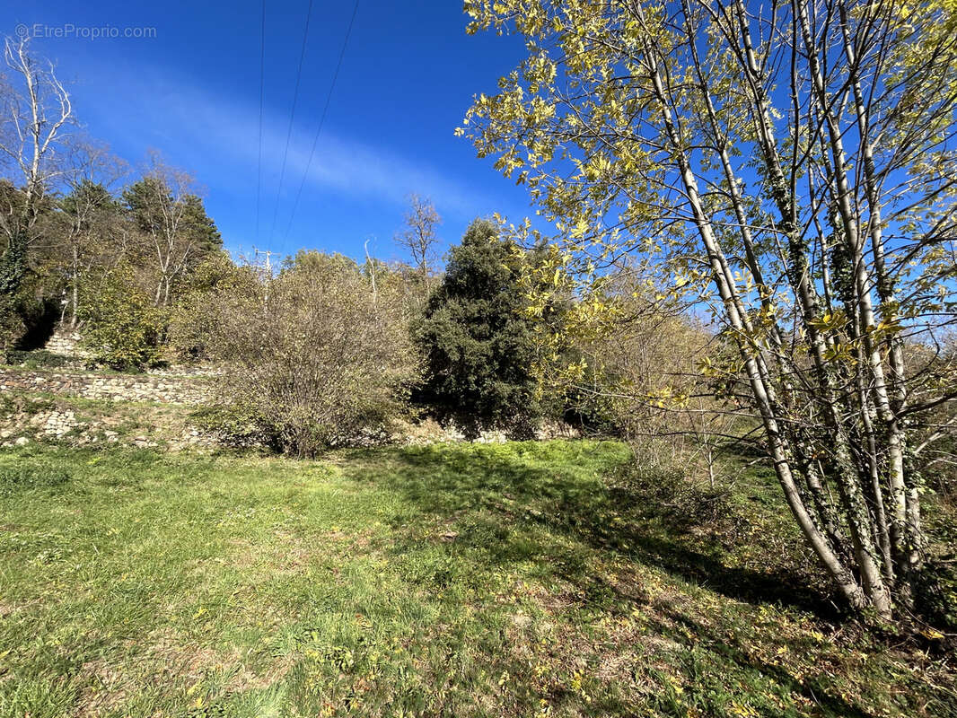 À Corsavy (66), terrain de 1500m2 à acheter - photo 5