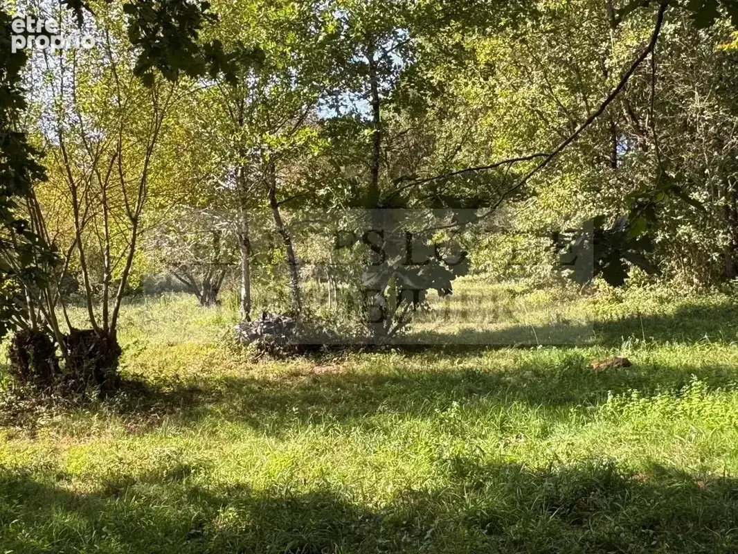 Charmante maison rénovée au cœur de la nature près de Cazals - photo 14