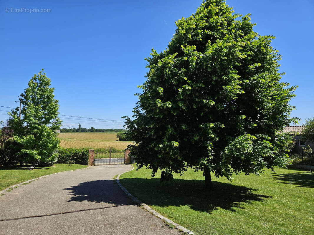 Maison à CRUZILLES-LES-MEPILLAT