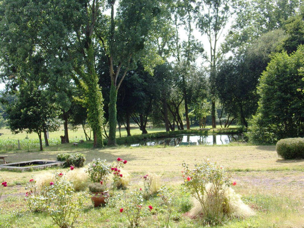 REGION MORTAIN BOCAGE - propriété avec étangs - photo 18