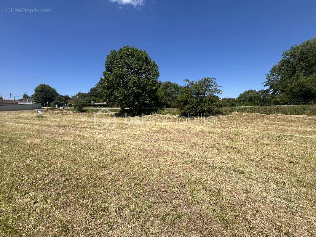 Terrain constructible idéalement situé – 1 195 m² - photo 5