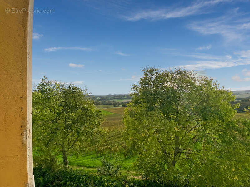 Dpt Gers (32), à vendre Proche de RISCLE château T6 de 327 m² habitables + 580 m² de dépendances attenantes sur 8157 m² de terra - photo 30