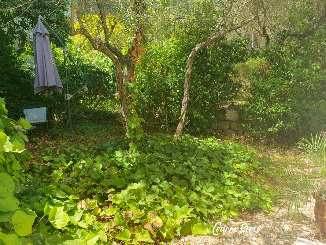 Nîmes, élégance contemporaine de plain pied Corinne Ponce immobilier - photo 18