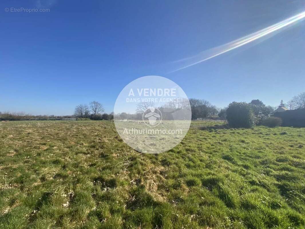 Terrain à LE TEMPLE-DE-BRETAGNE