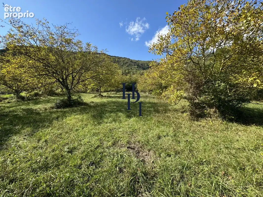 Vente terrain constructible avec maison de vigne Saint Affrique - photo 12