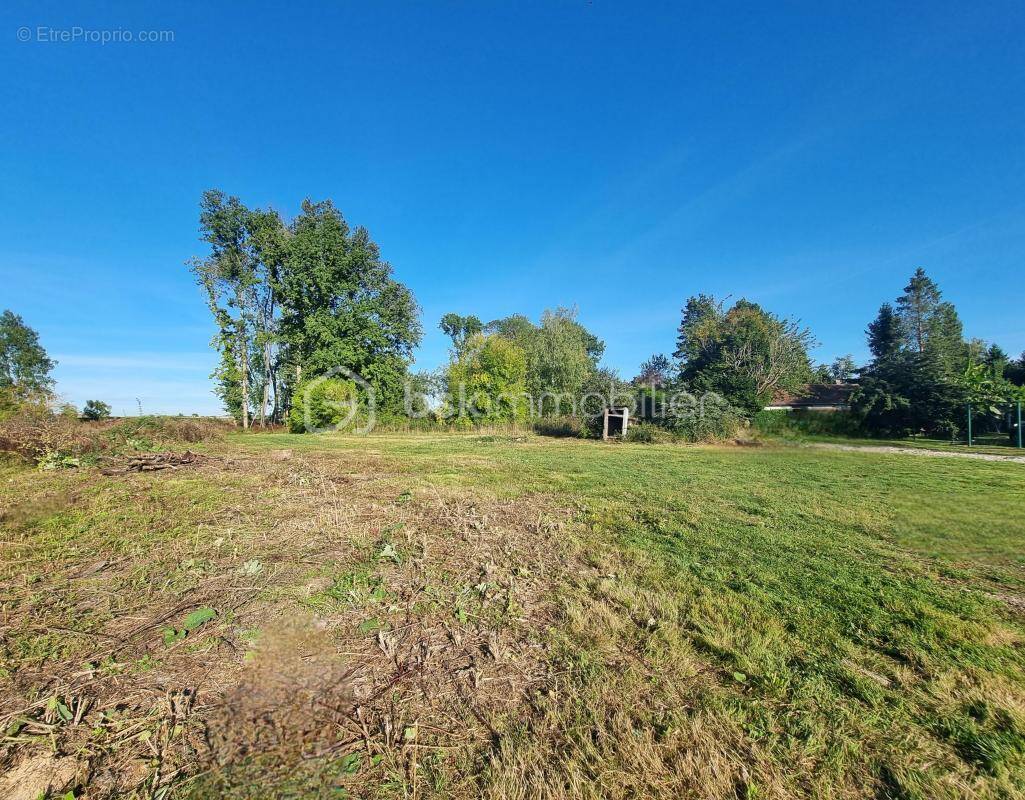Terrain à CHOISY-EN-BRIE