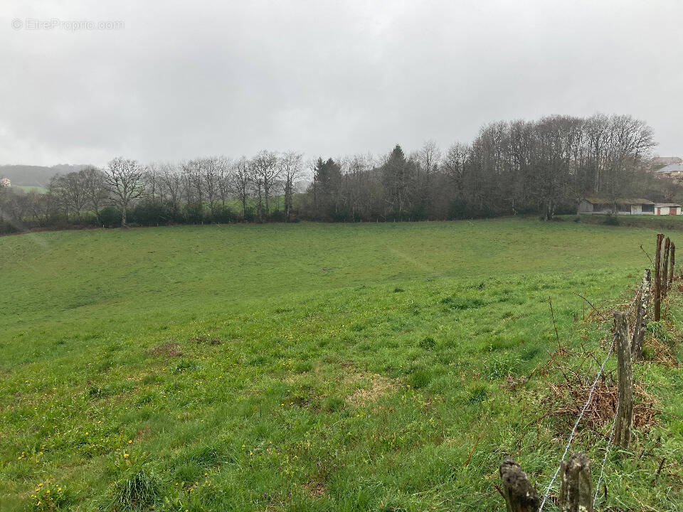 Photo Terrain à Lafeuillade-En-Vezie au prix de 32 000€