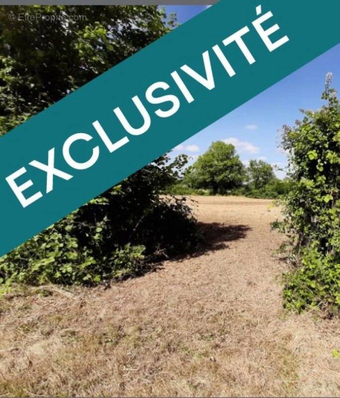 Terrain à GUIBEVILLE